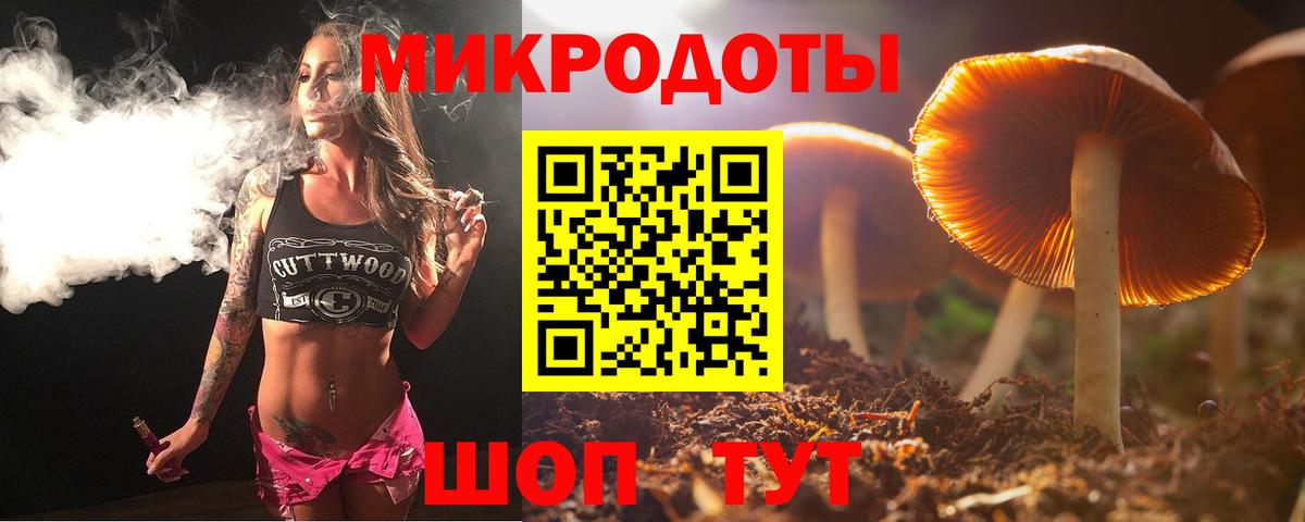 Волгоград  Псилоцибиновые грибы прущие грибы  Галлюциногенные грибы Cubensis  Вход с VPN 