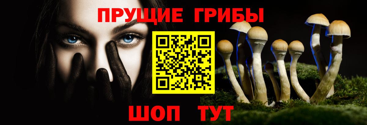 Псилоцибиновые грибы GOLDEN TEACHER Волгоград